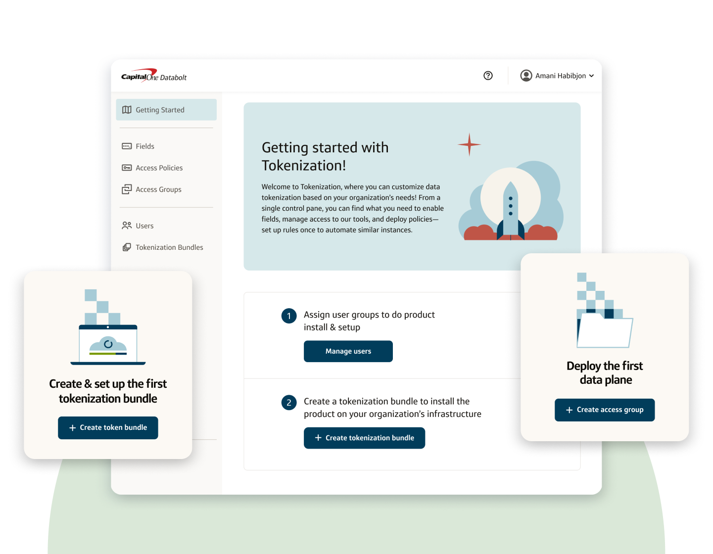 Capital One Databolt user interface